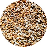 Karma dla gołębi super dietetyczna 20 kg Agro King