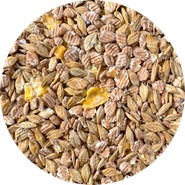 Pasza musli mikronizowane zbożowe dla koni 20 kg