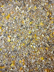 Karma dla kur niosek sypka Naturalna Bez GMO 25 kg
