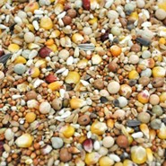 Karma dla gołębi lotowa extra 25 kg Flornas