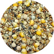 Karma dla gołębi ekonomiczna 25 kg Flornas